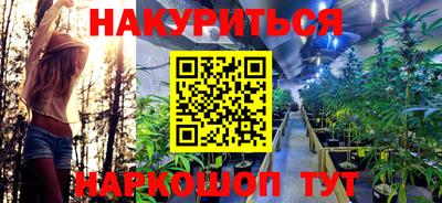 прущие грибы Нальчик