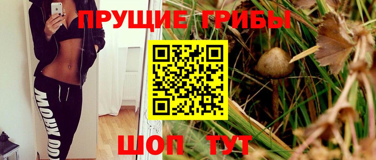 Галлюциногенные грибы прущие грибы Старая Купавна