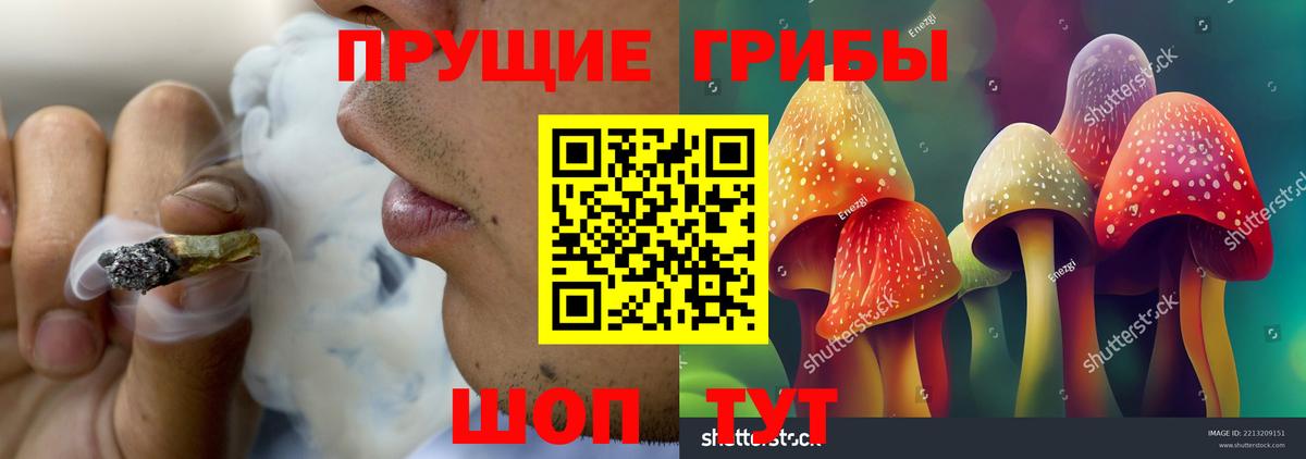 Псилоцибиновые грибы мицелий  Вход с VPN  Старая Купавна 